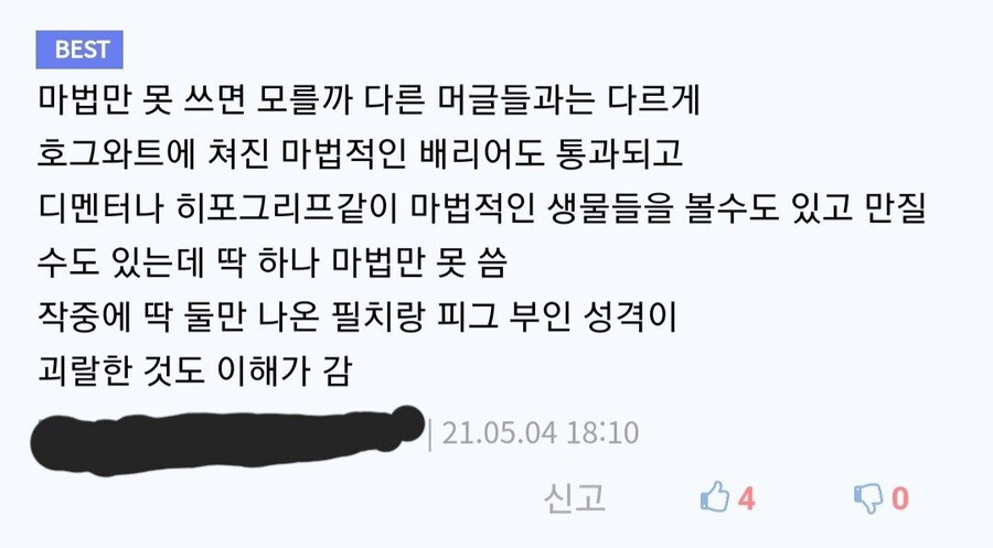 해리포터 세계관에서 제일 비참한 계층.jpg_5.jpg