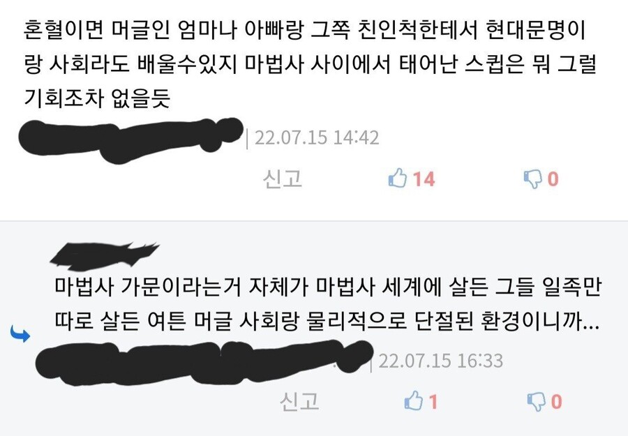해리포터 세계관에서 제일 비참한 계층.jpg_8.jpg