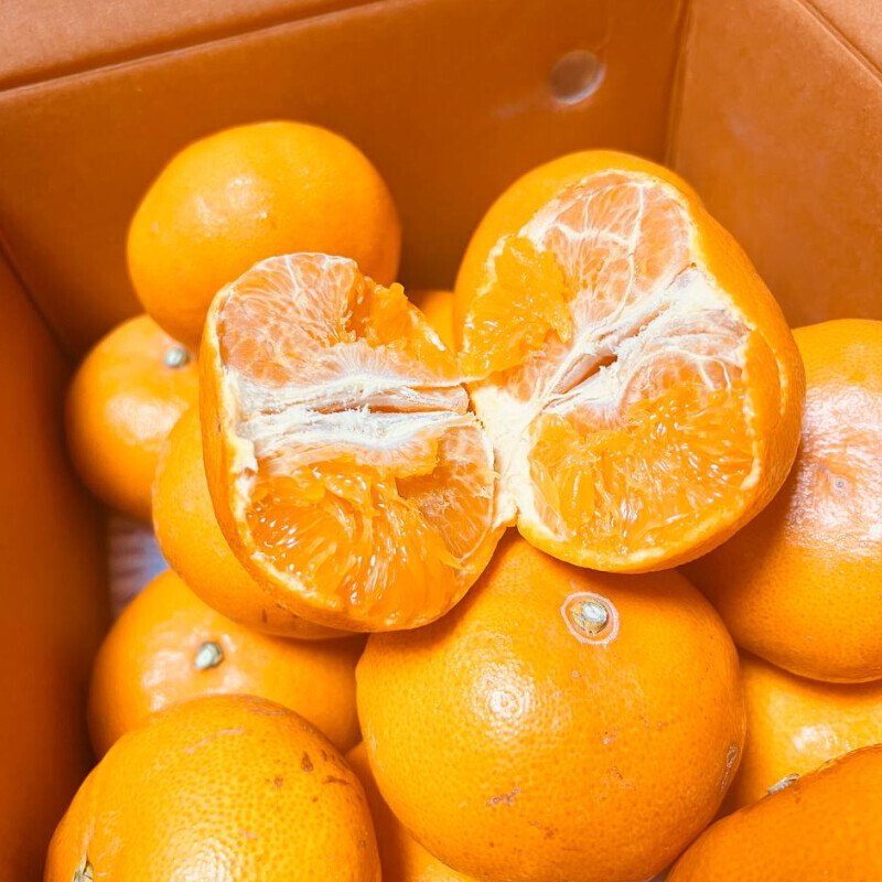 [네이버] 상큼하고 달달하고 맛있는 레드향,천혜향 5kg 34,500(무료배송)_2.jpg