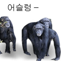 어제 새벽 4시 유게이들_1.jpg