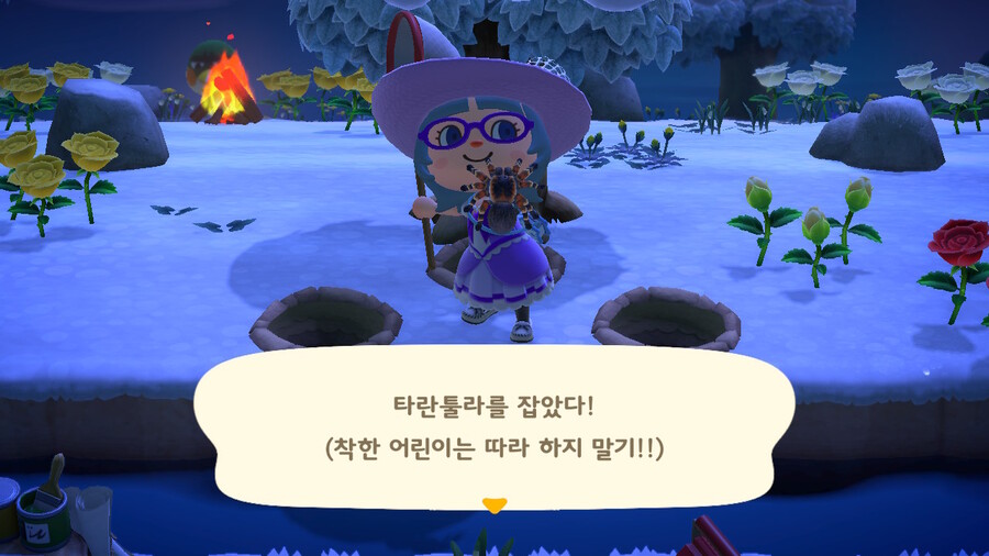 한 달 된 동린이 타란튤라섬 대박 터졌어요~_1.jpg