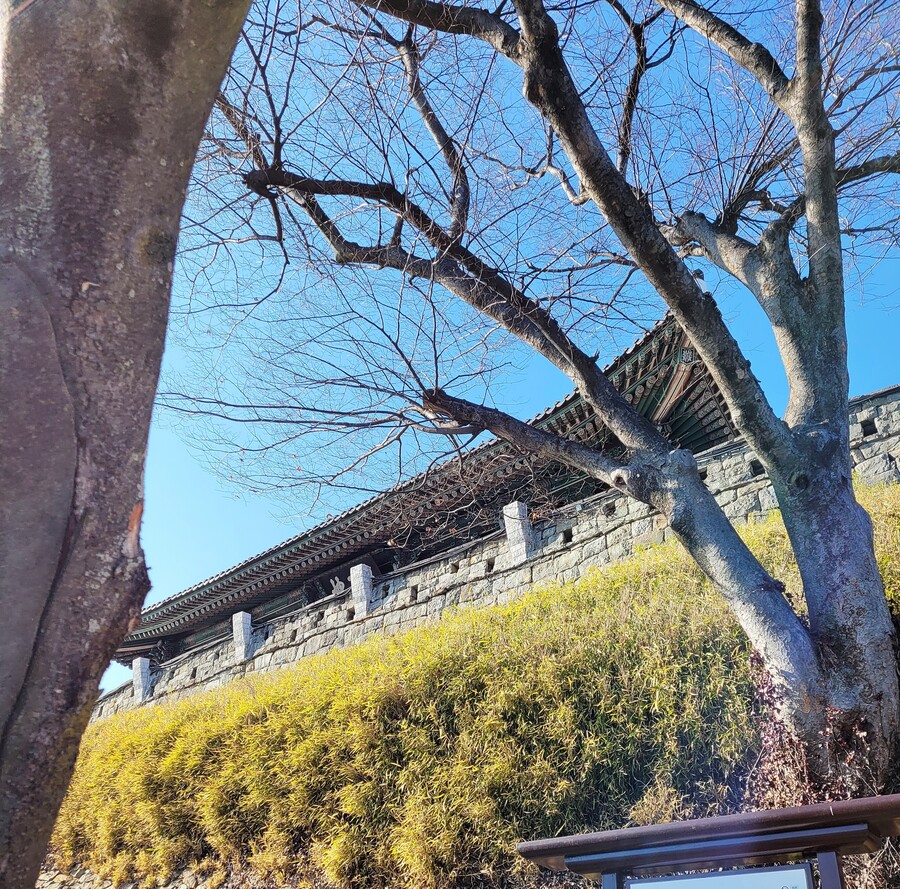 진주시 임진각 다찌_2.jpg