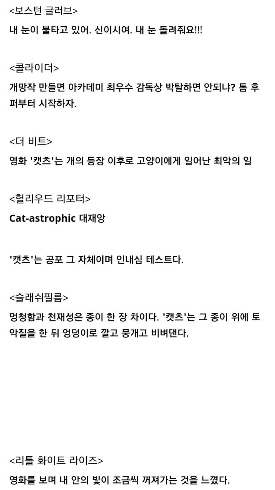 한 남자가 70세가 되어서 개를 키우겠다고 결심한 이유_5.jpeg