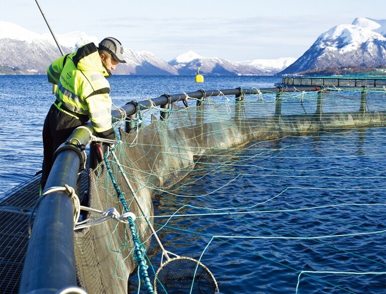 약혐) 우리가 가끔 먹고있는 연어알의 효능에 대해서 알아보자_7.jpg