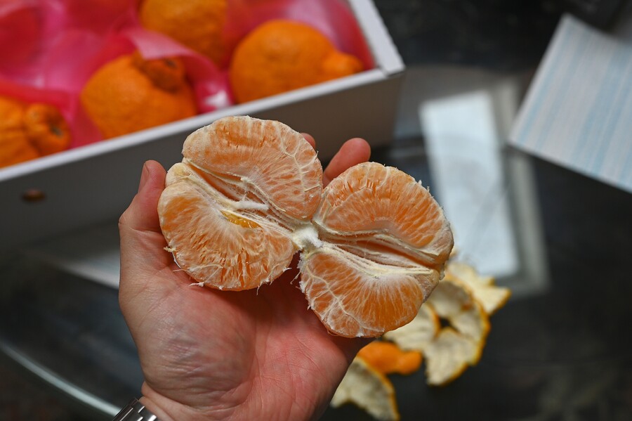 집에서 심플하게 해먹는 깐풍새우와 크림새우;ㅎ_9.jpg