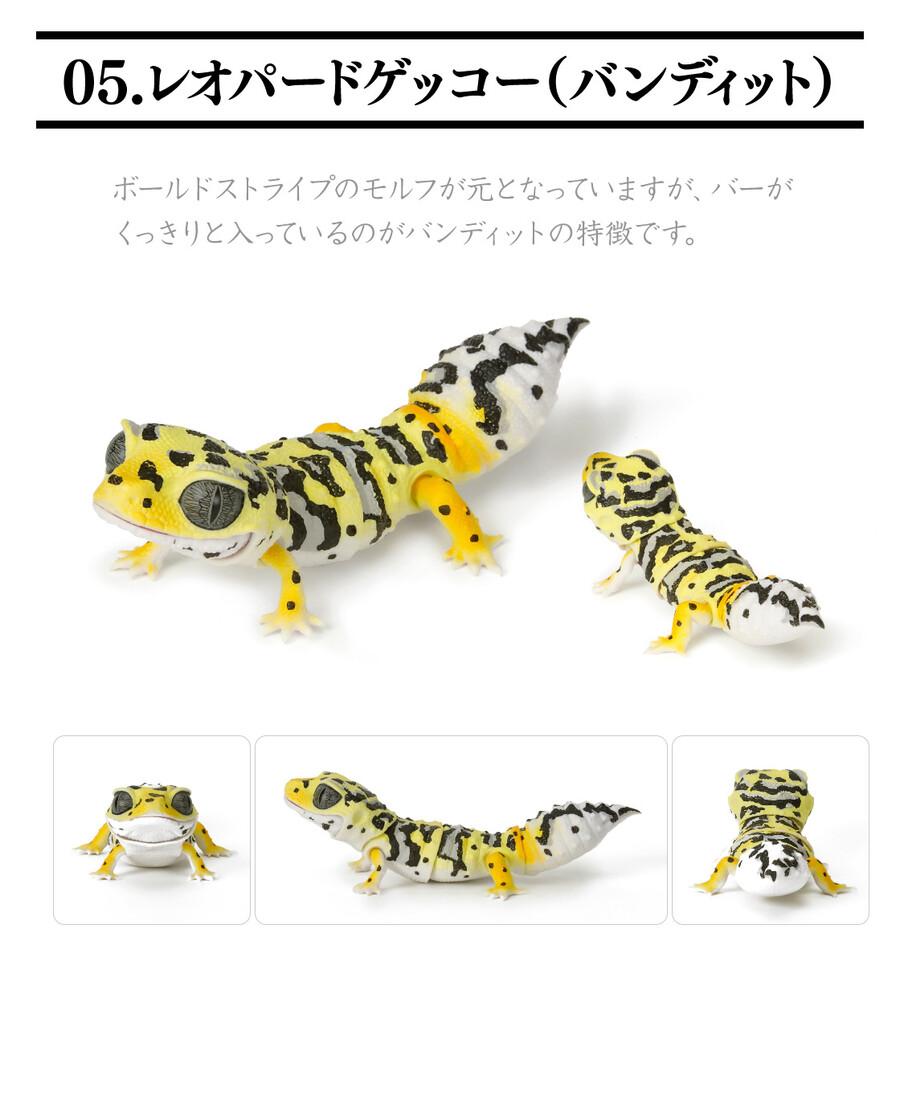레쁘띠 이미지