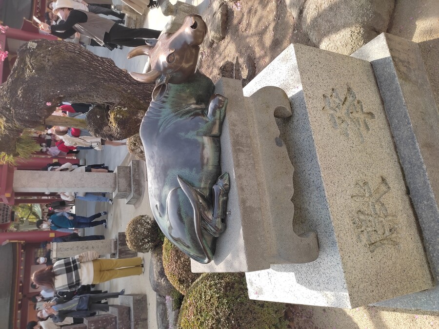 후쿠오카 야마구치 3_32.jpg