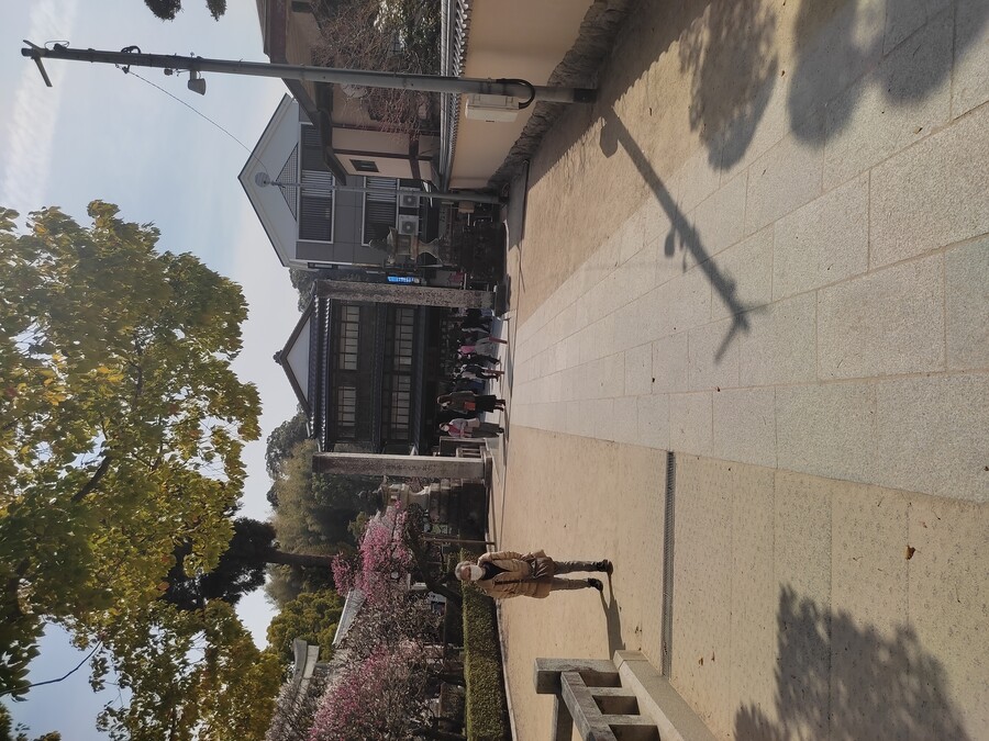 후쿠오카 야마구치 3_43.jpg