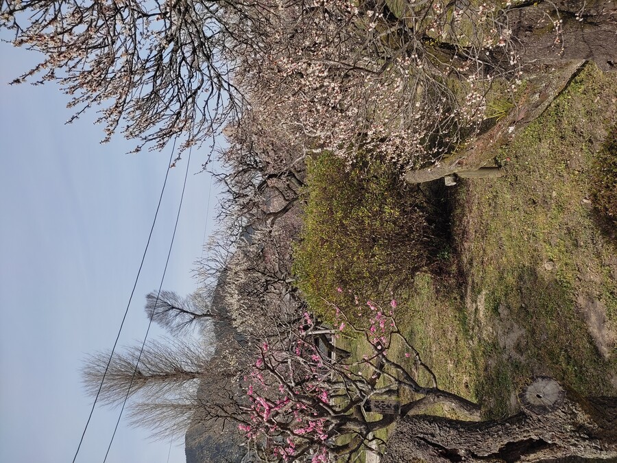 후쿠오카 야마구치 3_71.jpg