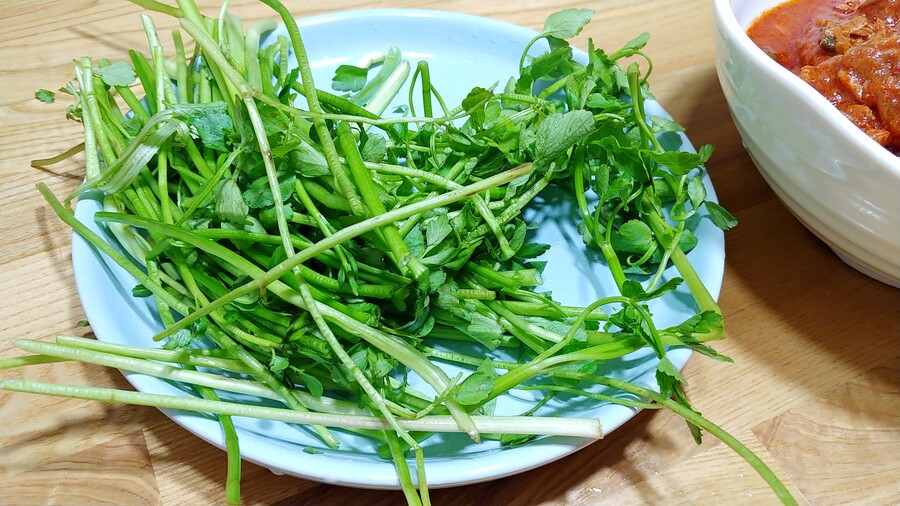 제육볶음(feat 미나리)_2.jpg