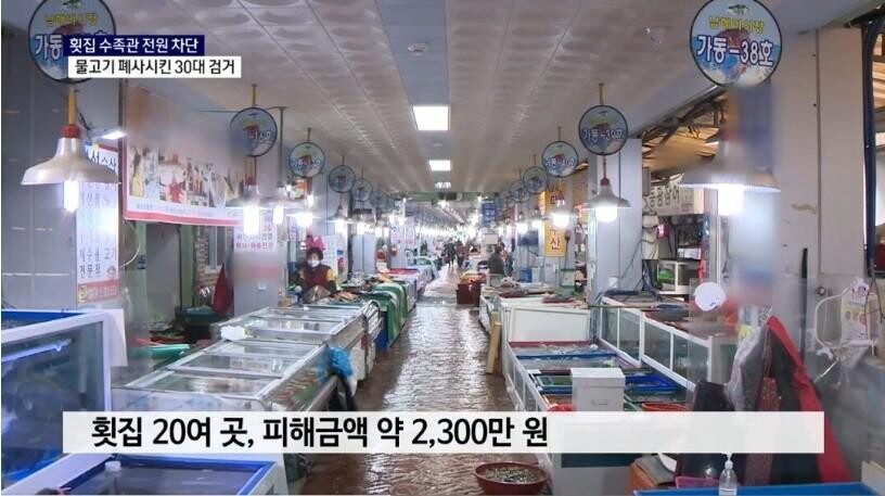 횟집 수족관 차단기 내리고 도주 물고기 집단폐사