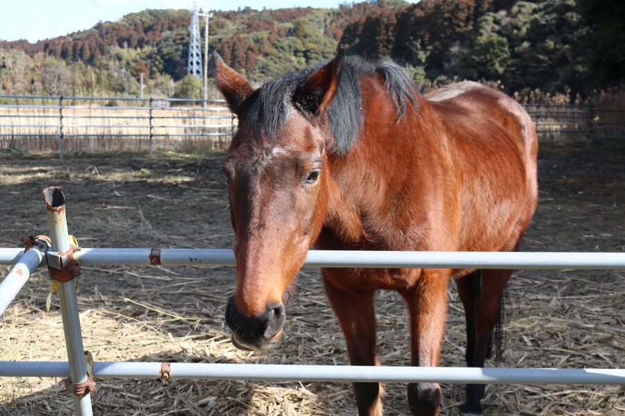 말딸) 하루 우라라 (원본) 근황_4.jpg