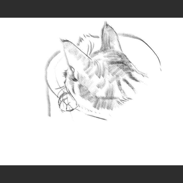 모닝냥_3.png