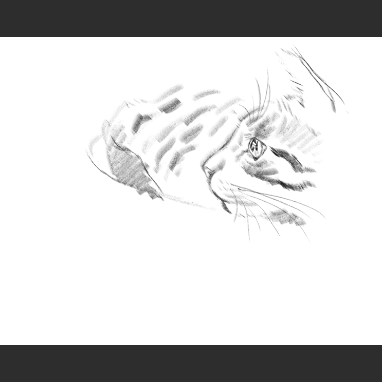 모닝냥_2.png