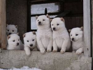 시고르자브종 볼시간임.gif_3.jpeg