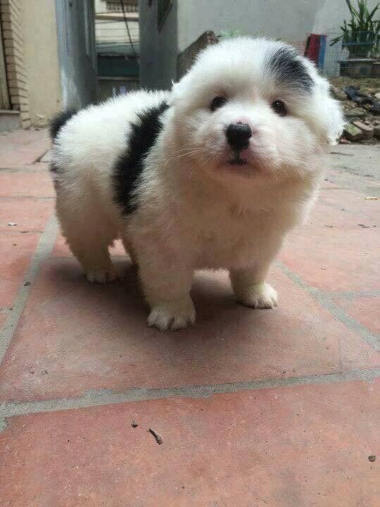 시고르자브종 볼시간임.gif_6.jpg