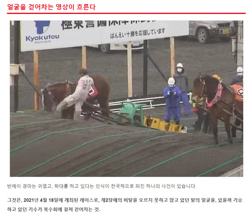 말딸) 반에이 경마는 진짜 끔찍한데 (혐주의)_1.png