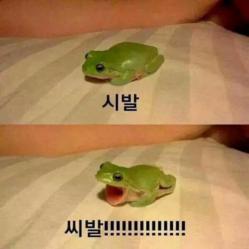 와.. 씨.바. 날씨 실화냐????_1.jpg