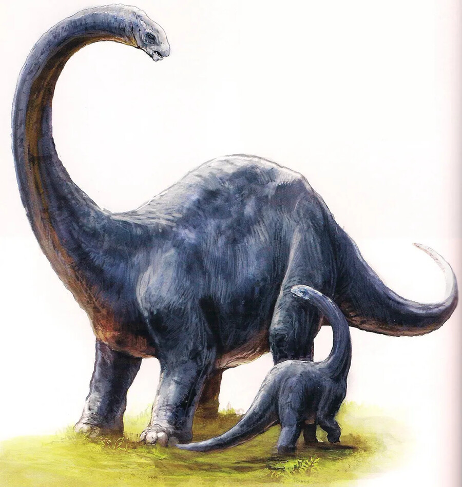 [킹콩] 해골섬의 생물군 - 기타 초식공룡_1.png