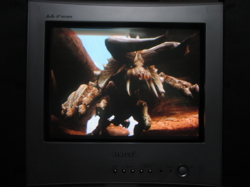 몬스터 헌터 도스 (13) - 브라운관 티비 화면_12.jpg