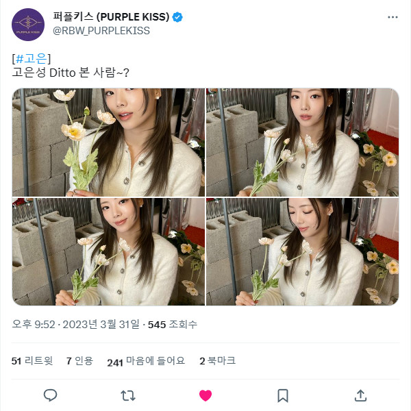 230331.트위터.고은 +.jpg