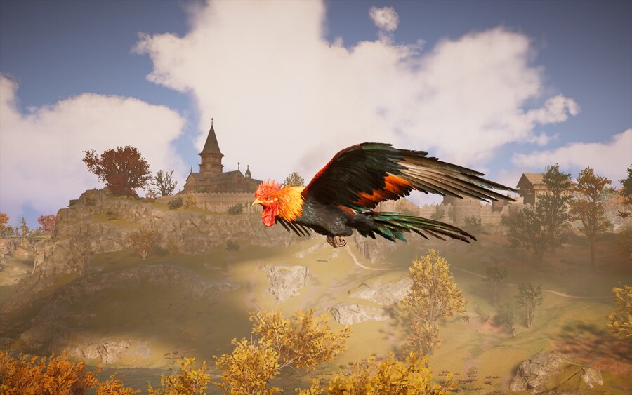 이번주 레다 닭둘기 보상ㅋㅋ_1.jpg