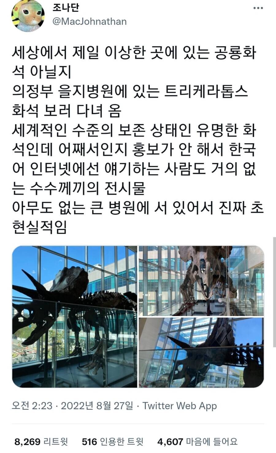 수상할 정도로 공룡(취미)에 진심인 병원_1.jpg