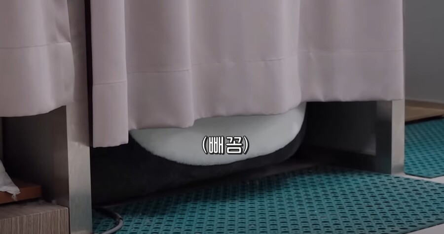 펭수) 나 수감될 때 항문검사 어케하는지 첨 알았음_1.jpeg