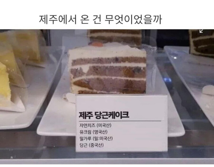제주에서 온 것은 무엇일까?_1.jpg