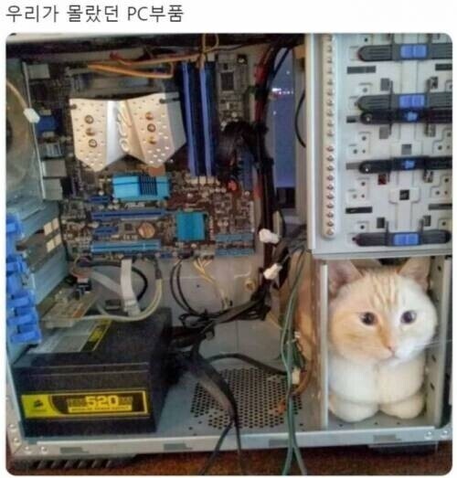 완제품으로 컴퓨터 사야 하는 이유!!!_1.jpg