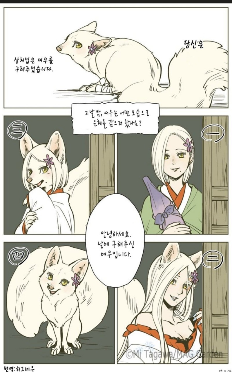 은혜갚는 여우_1.jpg
