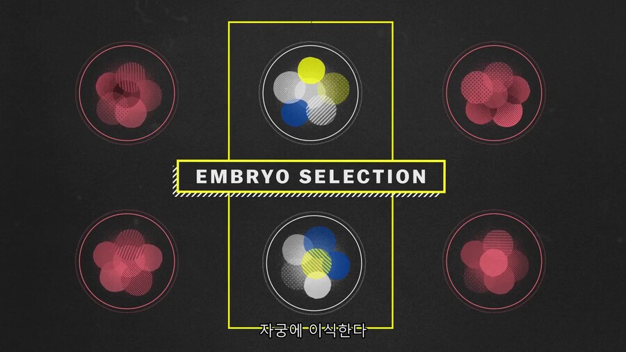 미래예측 예능 적중율 100%네 ;;;; 시발ㅋㅋㅋㅋ_2.jpg