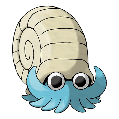 포켓몬 암나이트를 현실적으로 그려진 짤_1.png