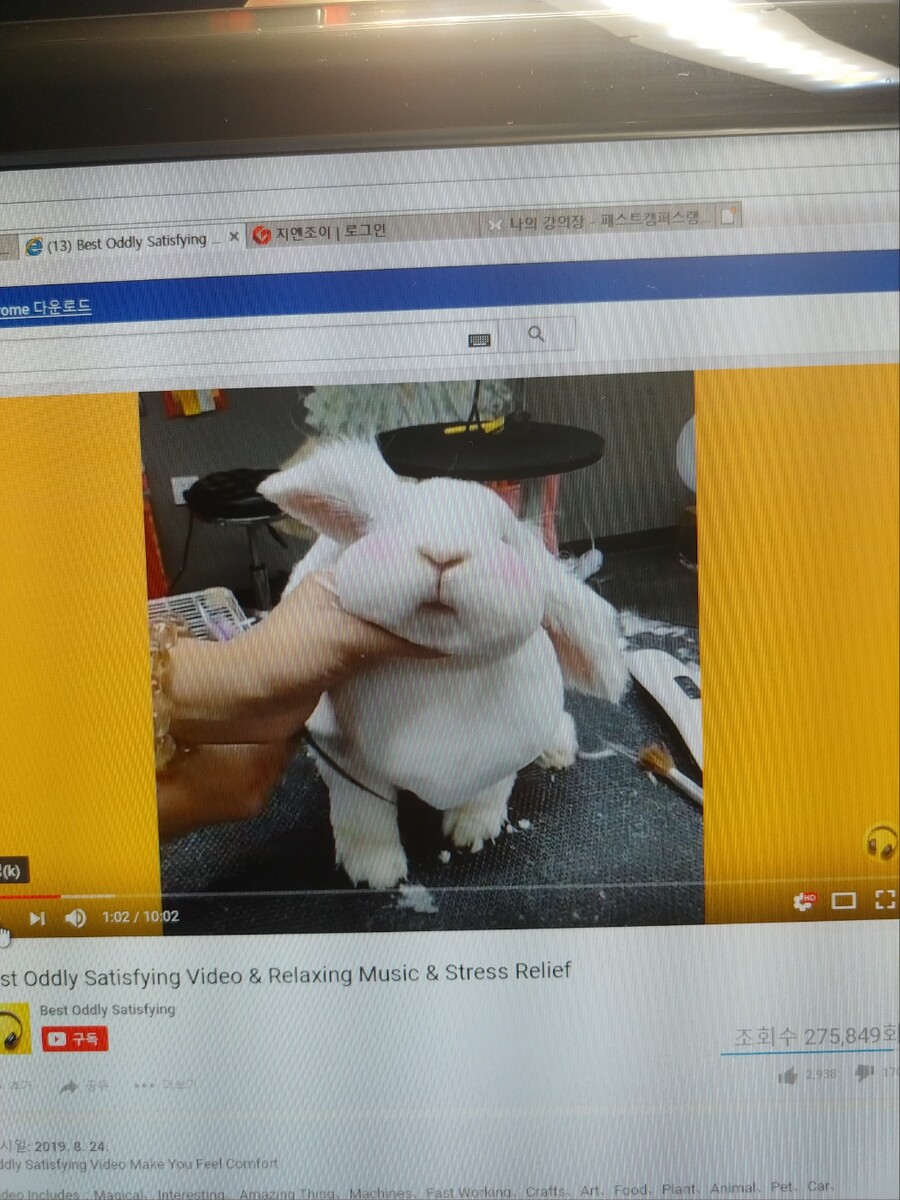 토끼(인형)를 잡는 방법_1.jpg