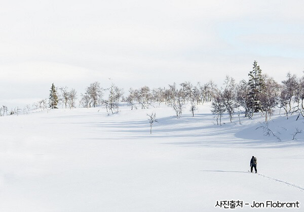 핀란드에 내려오는 탈모 저주 이야기_7.png