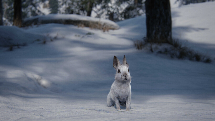 (약스포) PC 스샷 4070ti - 10년 동안 몇 번을 하는 건지_2.jpg