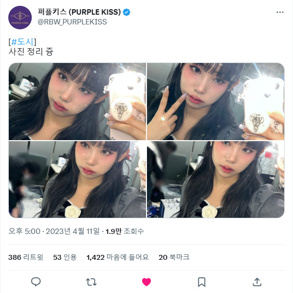 230411.트위터.도시 +.jpg