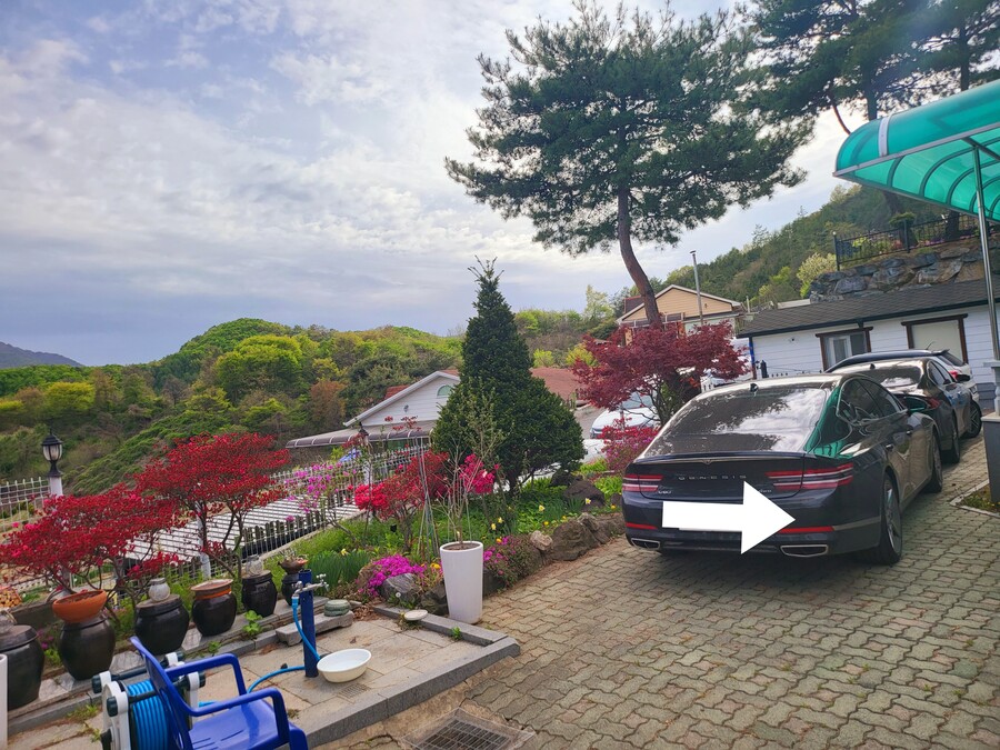 회사 야유회_2.jpg