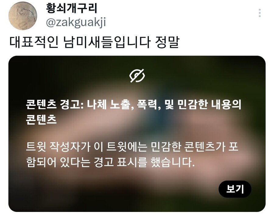 대표적인 남미새들입니다 정말_1.jpg