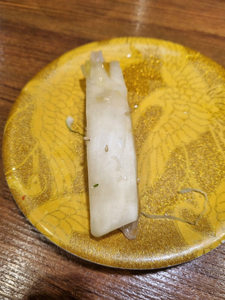 봄나들이 (스압주의)_15.png