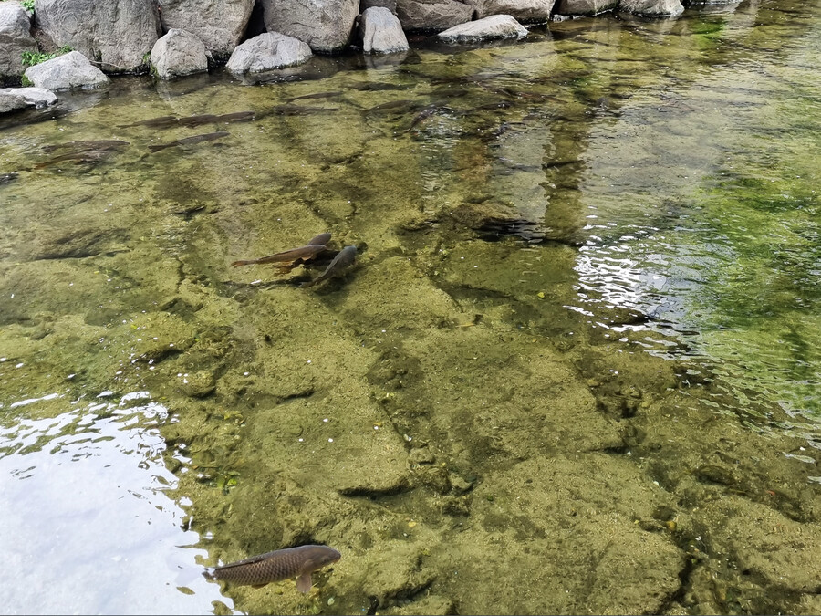 봄나들이 (스압주의)_23.png