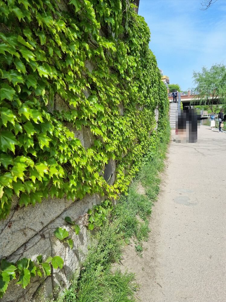 봄나들이 (스압주의)_25.png