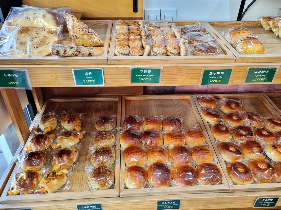 봄나들이 (스압주의)_39.png