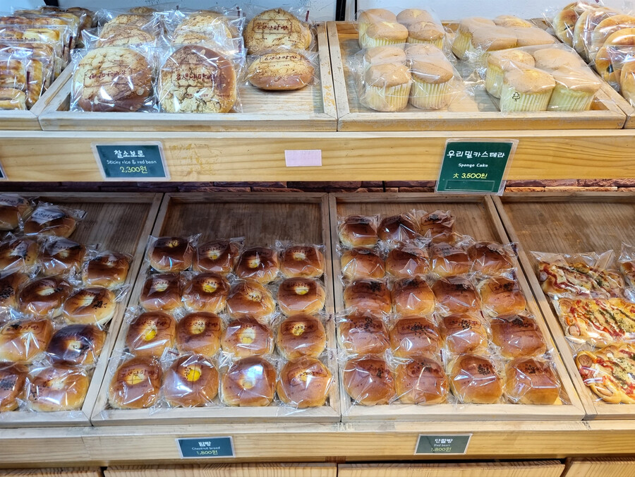 봄나들이 (스압주의)_40.png