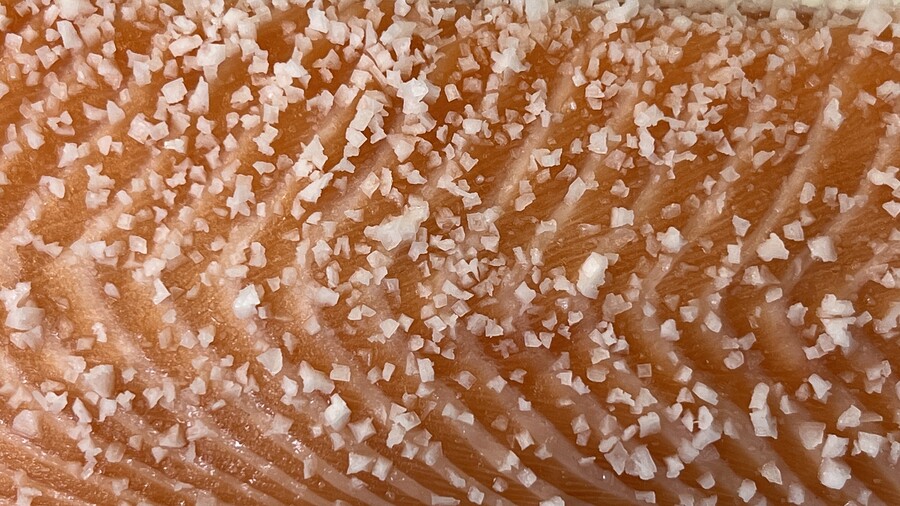 이 집 포장 연어초밥이 꽤 맛있었습니다