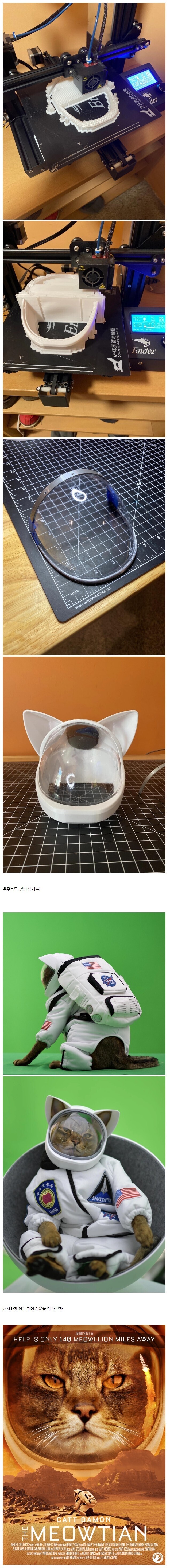 금손 집사의 고양이.jpg_1.jpg