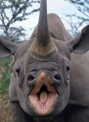 흐응❤️❤️❤️아직도 안자는 유게이들은 [벌]을 받아야지?_2.png