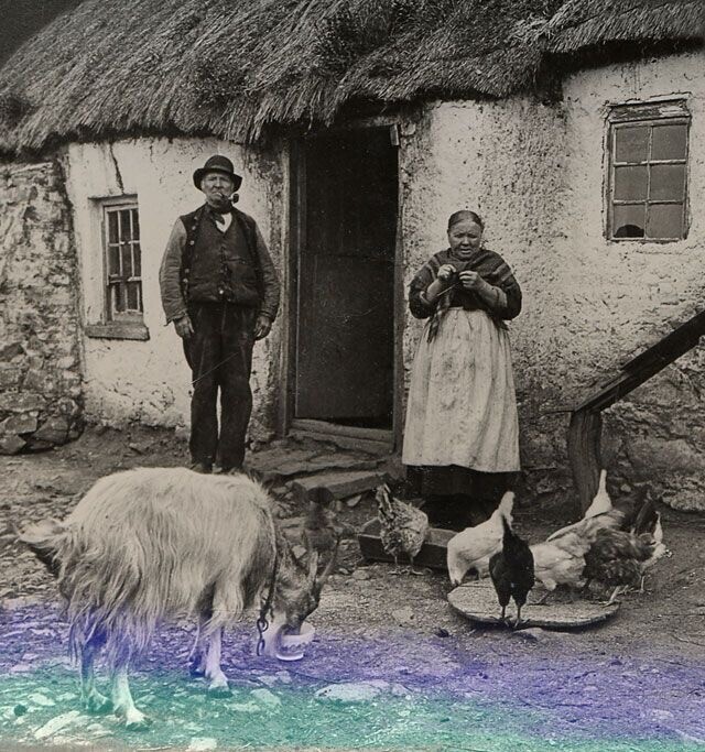 1890~1910년대 아일랜드 농촌 사진.jpg_6.jpeg