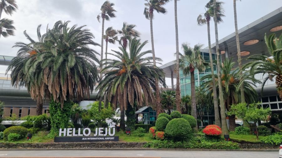 [제주] 피규어 찾아 제주도 덕질여행! 제주도에서 발견한 덕후 저격 박물관!_3.jpg