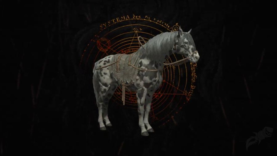 디아블로 4 신규 군마 탈것 외형 일부 공개! (총 17종)_9.png